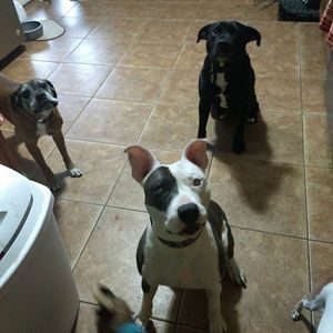 Meet your Posher, Lindsay